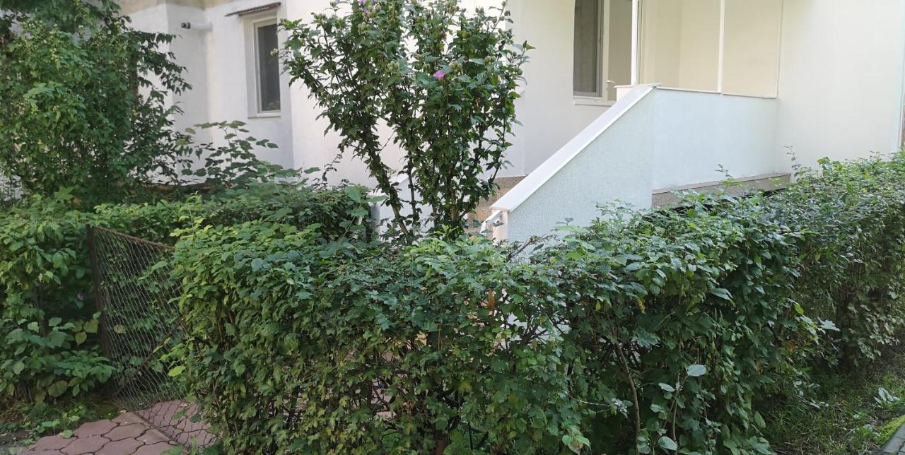 Diamond Apartment Târgu-Mureş Εξωτερικό φωτογραφία